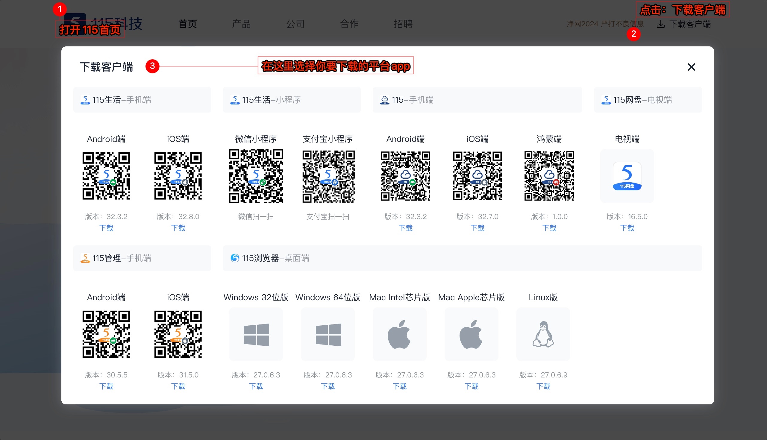 115网盘会员离线下载加速，可实现在线观看资源[附教程]-JIN